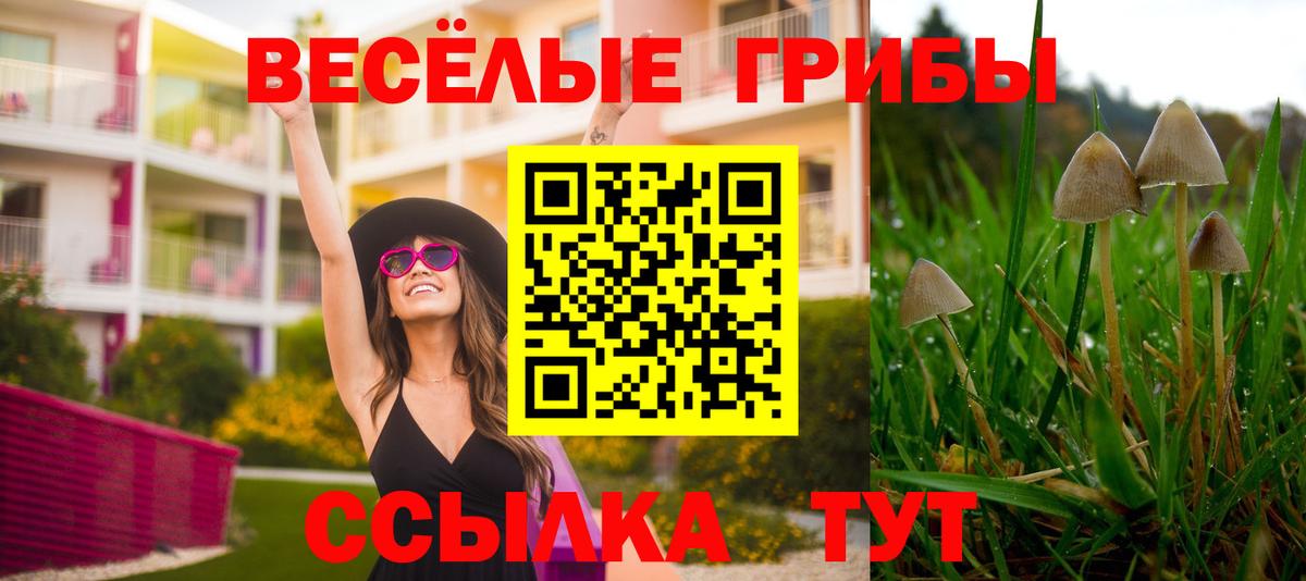 Галлюциногенные грибы Psilocybine cubensis  Вход с VPN  Новокубанск 