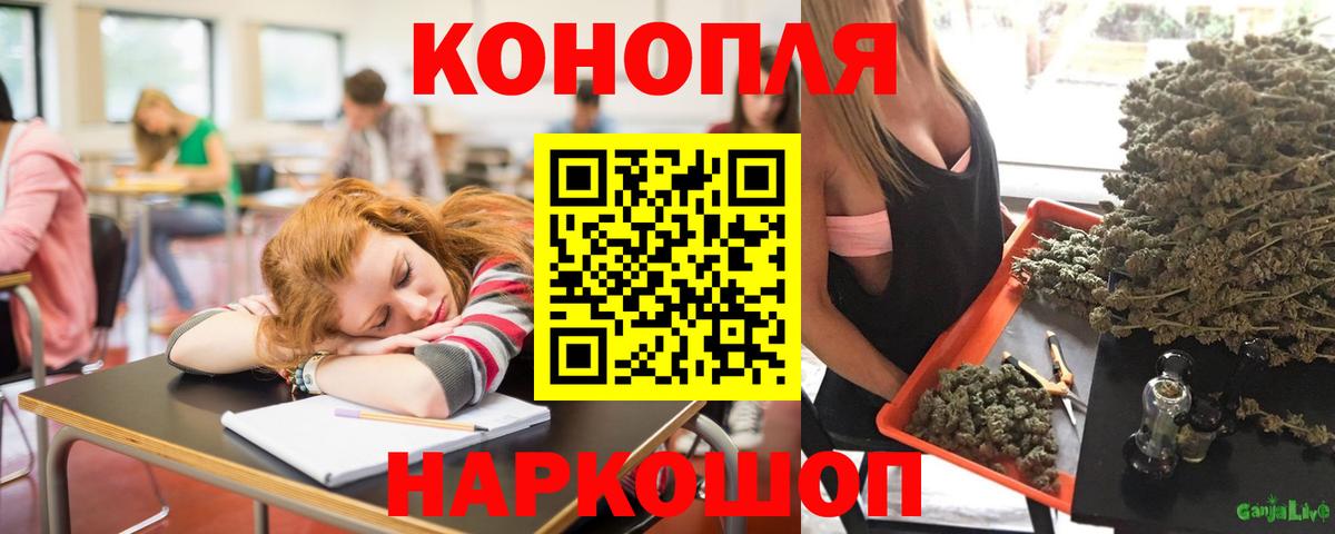 Бошки Шишки THC 21% Новокубанск